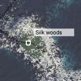 Silk woods